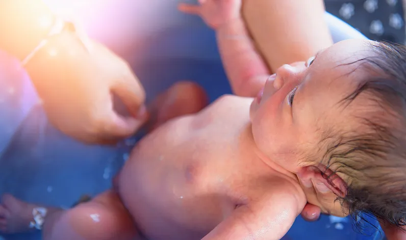 Speciality Description Image