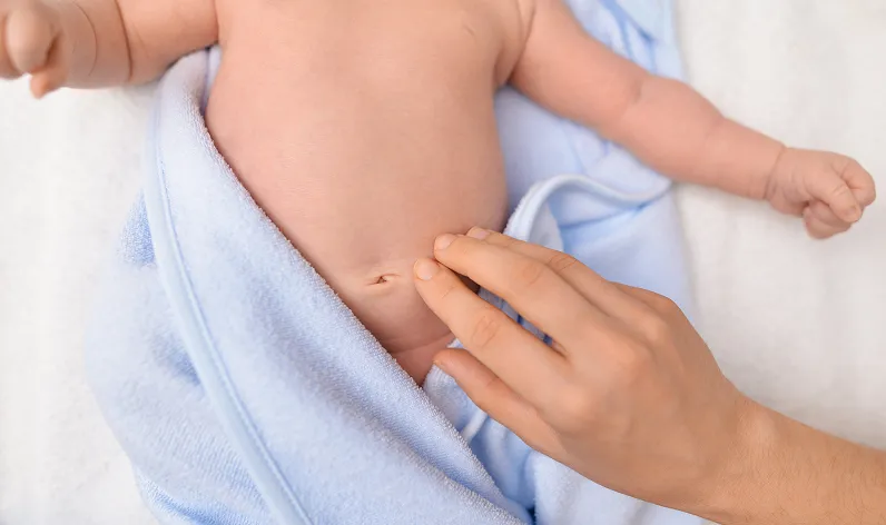 Speciality Description Image