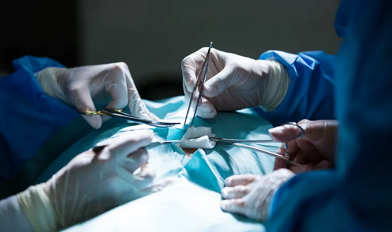 Speciality Description Image