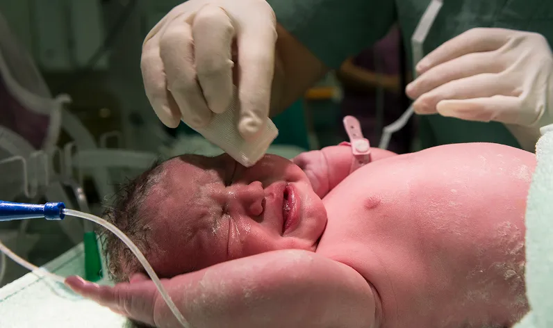 Speciality Description Image