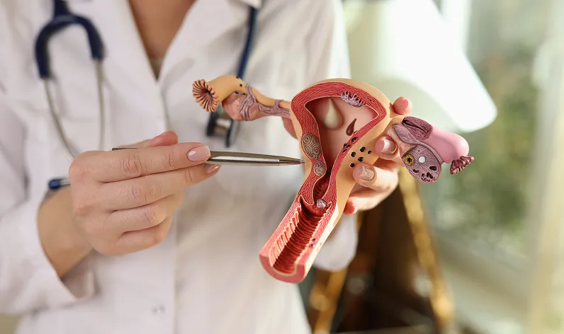 Speciality Description Image